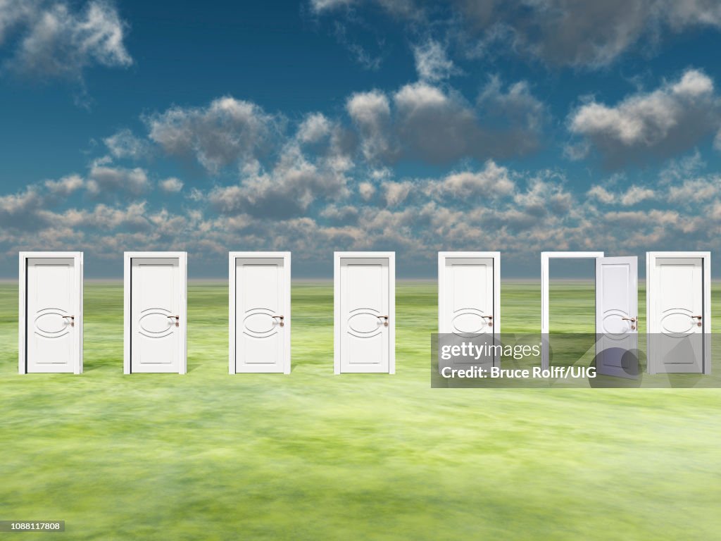 One open door amongst multiple in green landscape