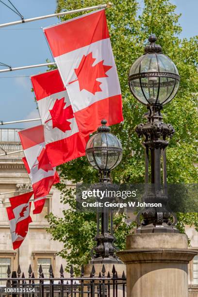 canadian flags in sunshine - street light banner stock pictures, royalty-free photos & images