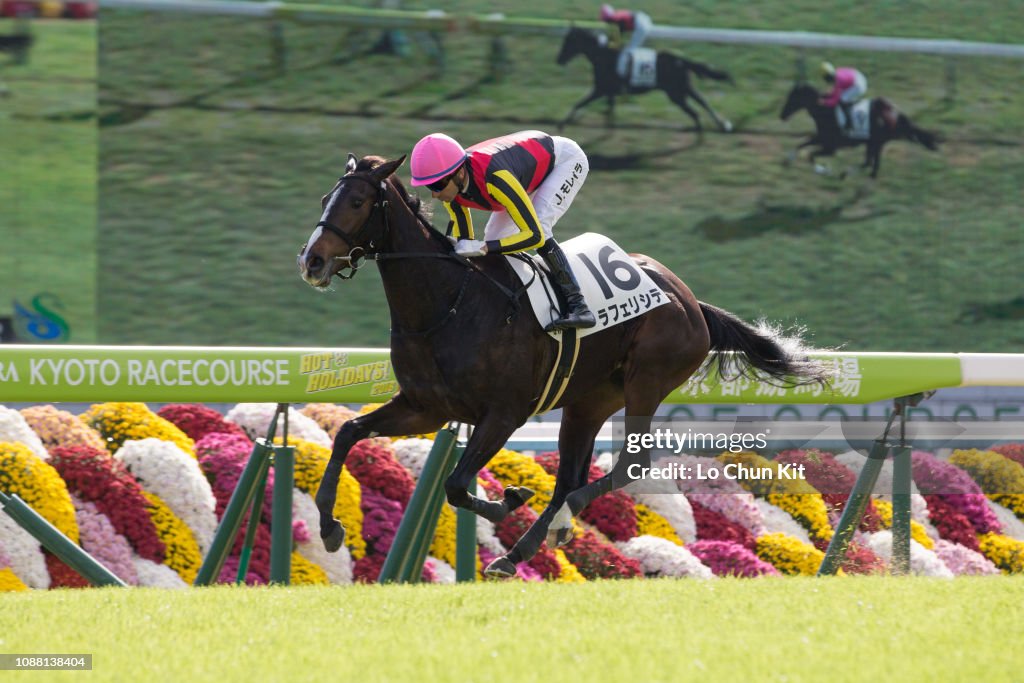 Horse Racing in Japan - Kyoto Racecourse