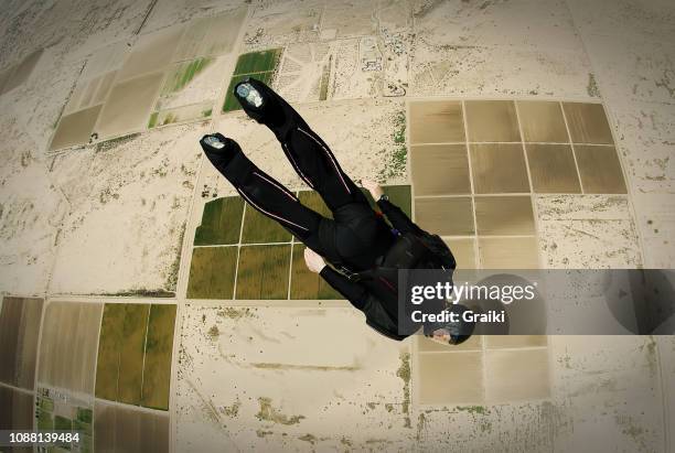 Dove Of The Desert Photos and Premium High Res Pictures - Getty Images