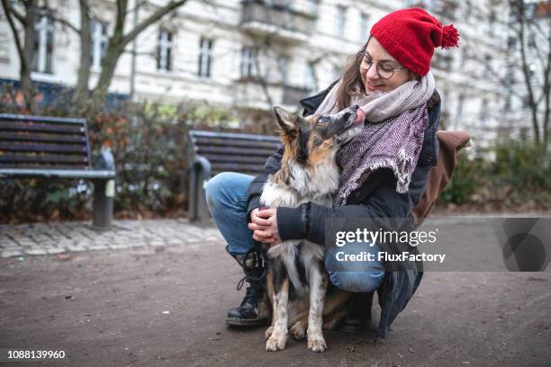 i love my owner! - berlin winter stock pictures, royalty-free photos & images