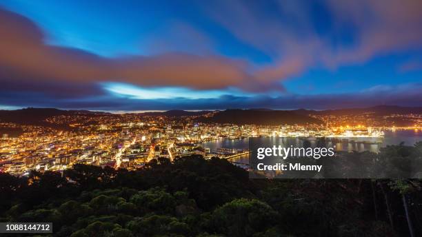 wellington cityscape at night panorama new zealand - wellington harbour stock pictures, royalty-free photos & images