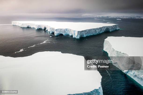 sailing through enormously huge icebergs near melchior islands - antártica - fotografias e filmes do acervo