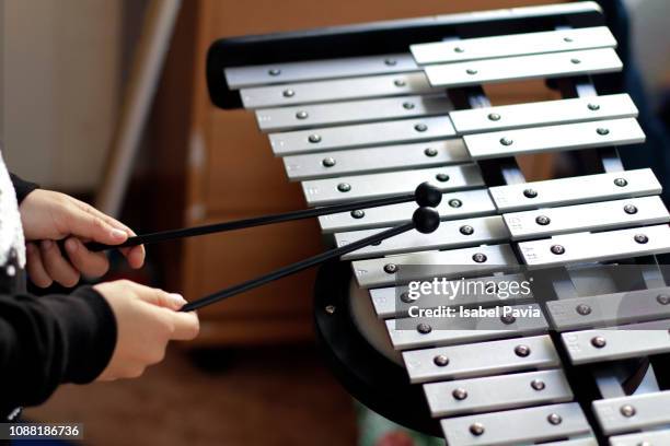 musician playing xylophone - xylophone stock pictures, royalty-free photos & images