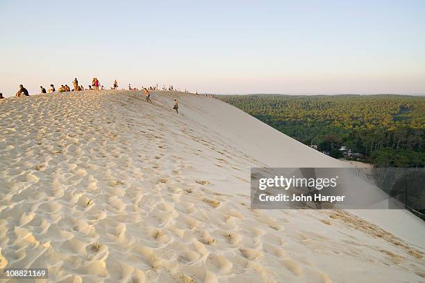 dune du pilat, arcachon bay, gironde, france - duna de pilat fotografías e imágenes de stock