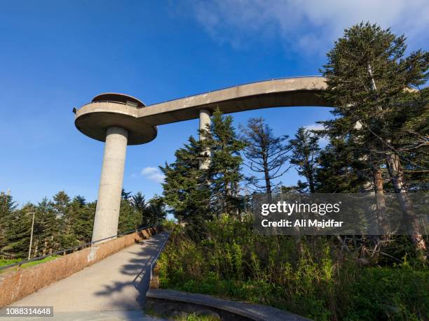 clingmans dome - clingman's dome stock pictures, royalty-free photos & images