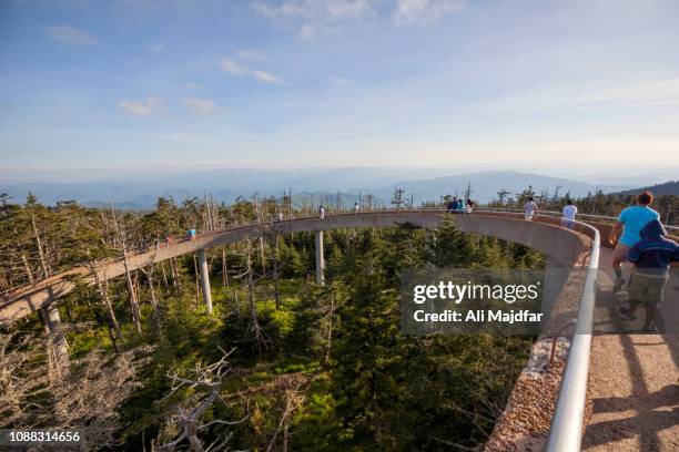 clingmans dome - clingman's dome - fotografias e filmes do acervo