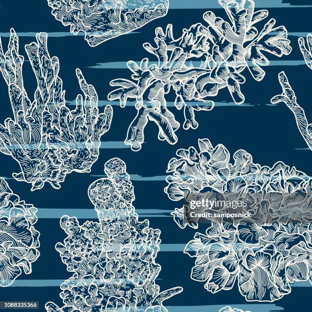 Sea Color Line Under The Sea Line Drawing Photos and Premium High Res Pictures - Getty ...