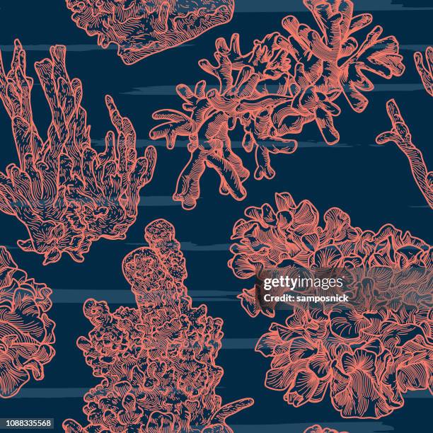 illustrazioni stock, clip art, cartoni animati e icone di tendenza di sea coral line artwork modello senza soluzione di continuità - barriera corallina