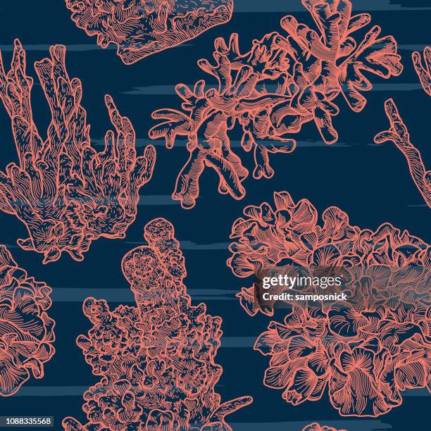sea coral line artwork seamless pattern - reef stock illustrations
