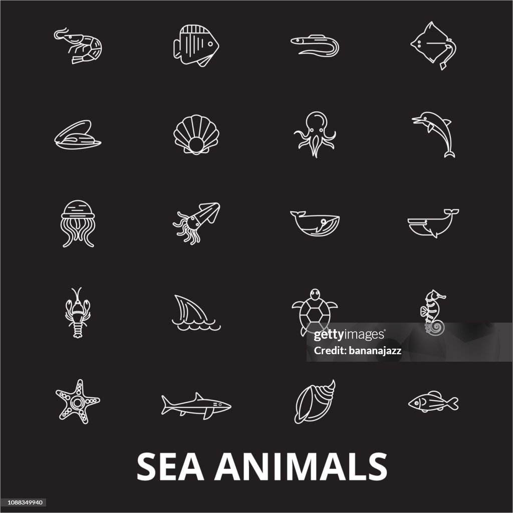 Sea Animals Editable Line Icons Vector Set On Black Background Sea Animals  White Outline Illustrations Signs Symbols High-Res Vector Graphic - Getty  Images