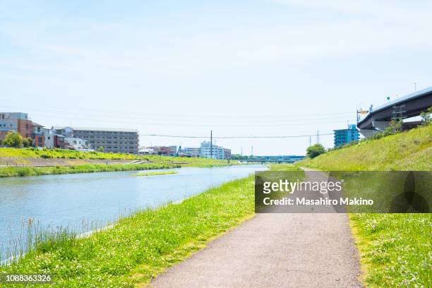 spring view of kamo river side, kyoto city - riverbank stockfoto's en -beelden