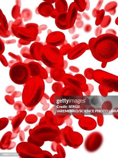 red blood cells, illustration - red blood cell white background stock illustrations