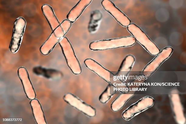 stockillustraties, clipart, cartoons en iconen met bifidobacterium bacteria, illustration - anaeroob