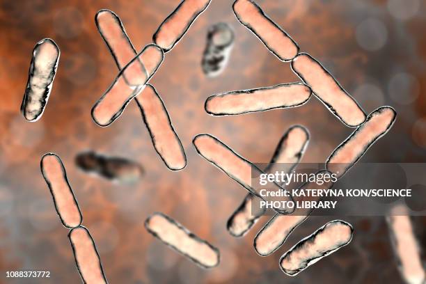 stockillustraties, clipart, cartoons en iconen met bifidobacterium bacteria, illustration - bacterie