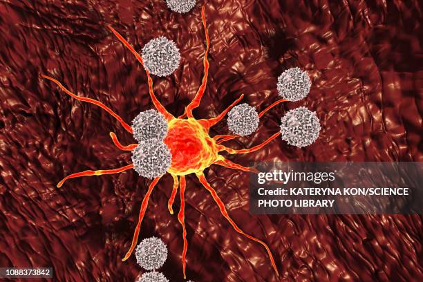 t-lymphocytes attacking cancer cell, illustration - t cell stock illustrations