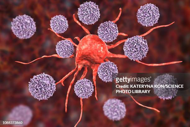 t-lymphocytes attacking cancer cell, illustration - genetic mutation stock illustrations