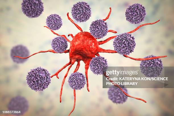 t-lymphocytes attacking cancer cell, illustration - t cell stock illustrations