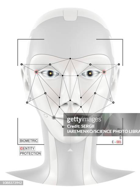 stockillustraties, clipart, cartoons en iconen met facial identification, conceptual illustration - biometrie