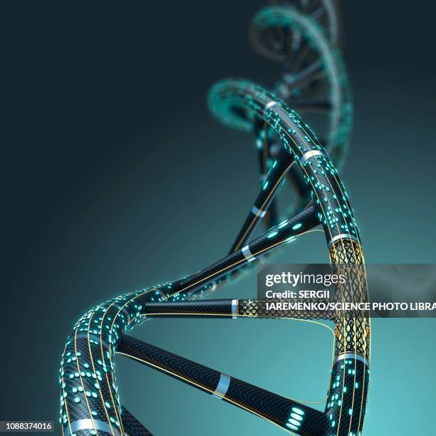 artificial dna molecule, illustration - dna stock-grafiken, -clipart, -cartoons und -symbole