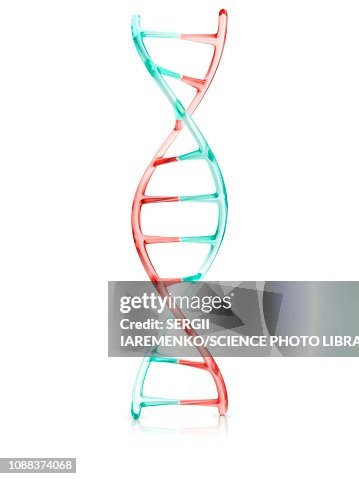DNA molecule, illustration DNA molecule, illustration