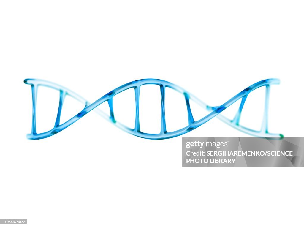 DNA molecule, illustration