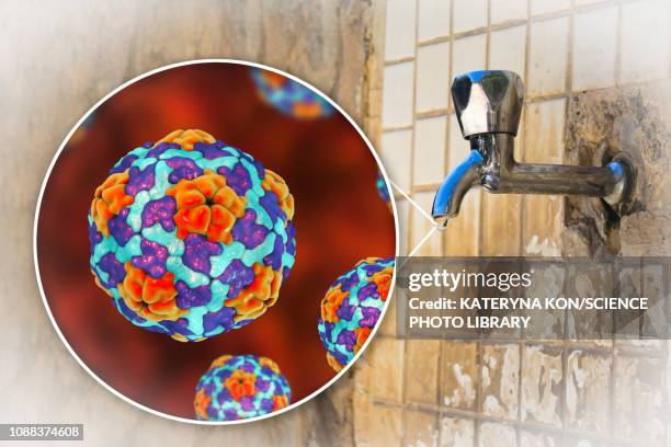 safety of drinking water, conceptual illustration - hepatitis virus stock illustrations