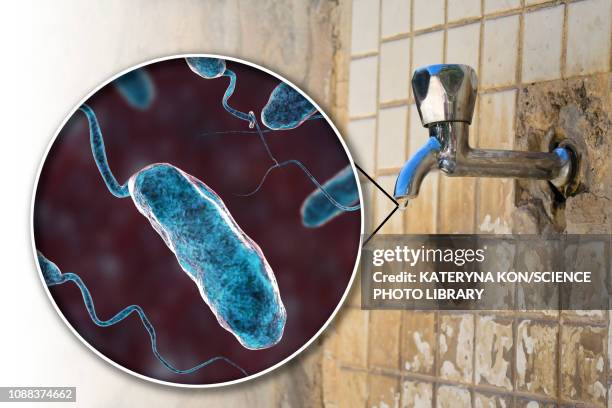 ilustrações de stock, clip art, desenhos animados e ícones de safety of drinking water, conceptual illustration - bactéria da cólera