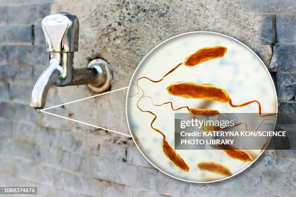safety of drinking water, conceptual illustration - cholera stock illustrations