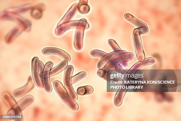 cholera bacteria, illustration - cholera erkrankung stock-grafiken, -clipart, -cartoons und -symbole