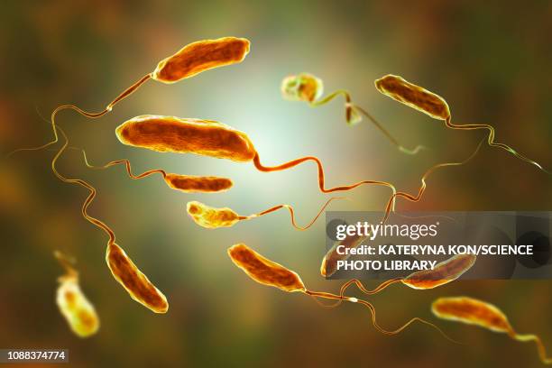 cholera bacteria, illustration - コレラ菌点のイラスト素材／クリップアート素材／マンガ素材／アイコン素材