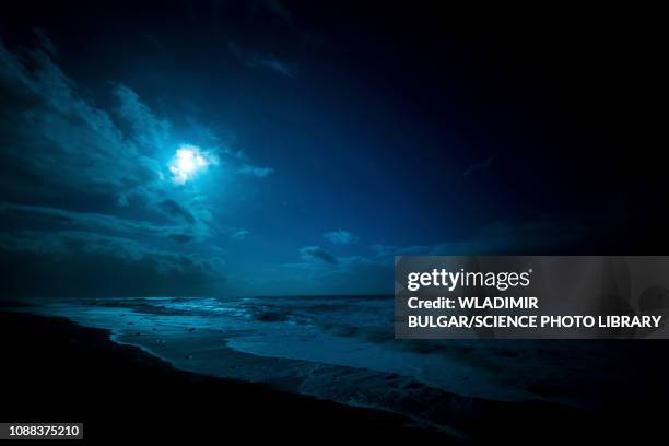 seascape, long exposure - moonlight stock pictures, royalty-free photos & images