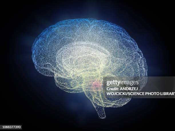 human brain, illustration - human brain stock illustrations