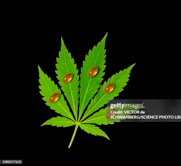 cannabis leaf with oil capsules - oil capsule stock illustrations
