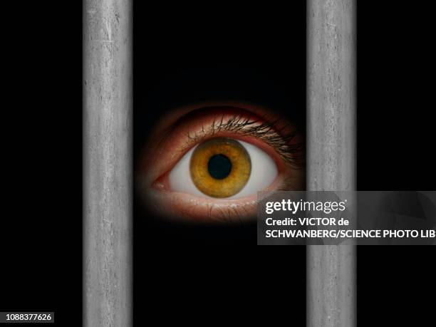 567 Ilustraciones de Ojos Negros - Getty Images 567 Ilustraciones de Ojos Negros - Getty Images
