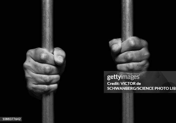 person's hands holding prison bars - prison foto e immagini stock