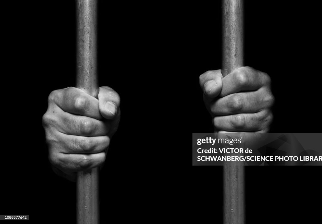 Person's hands holding prison bars