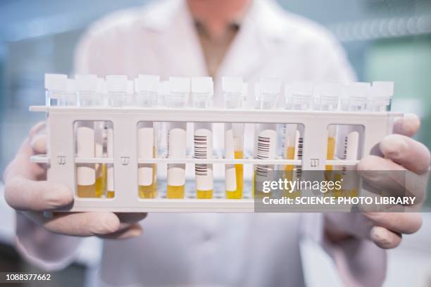 laboratory assistant holding medical samples - blood plasma stock pictures, royalty-free photos & images