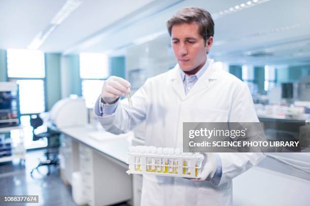 Lab Accessioner Laboratory Assistant Holding Medical Samples High-Res Stock Photo ...