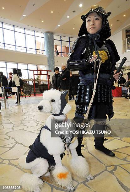 Dog dressed like a "ninja" is led by a woman dressed in a samurai costume during a festival at a shopping mall in Tokyo on February 5, 2011. Some 80...