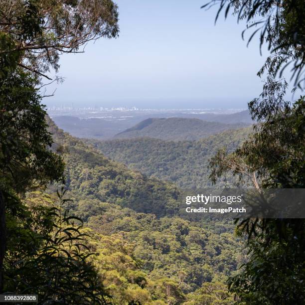 view of the gold coast skyline from high up in springbrook national park - gold coast skyline stock pictures, royalty-free photos & images