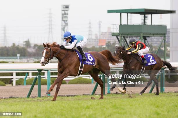 Jockey Mirco Demuro riding Admire Mars wins the Race 11 Asahi Hai Futurity Stakes at Hanshin Racecourse on December 16, 2018 in Takarazuka, Japan.