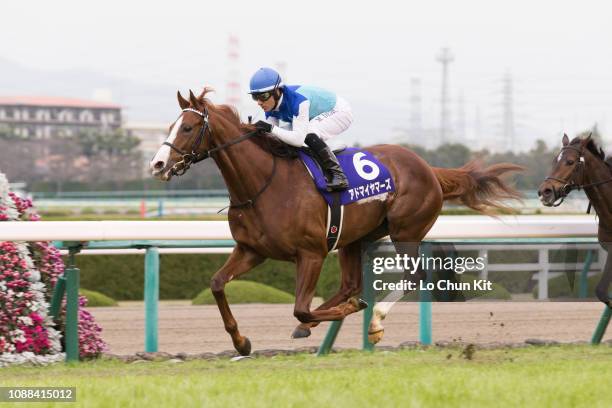 Jockey Mirco Demuro riding Admire Mars wins the Race 11 Asahi Hai Futurity Stakes at Hanshin Racecourse on December 16, 2018 in Takarazuka, Japan.