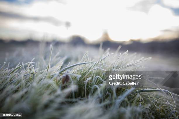 saison hiver - gelure matinale - cold morning stockfoto's en -beelden