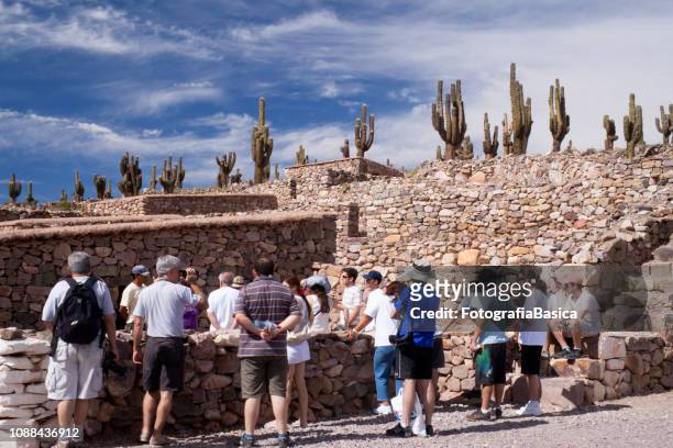 touristes à pucara de tilcara - cactus cardon photos et images de collection