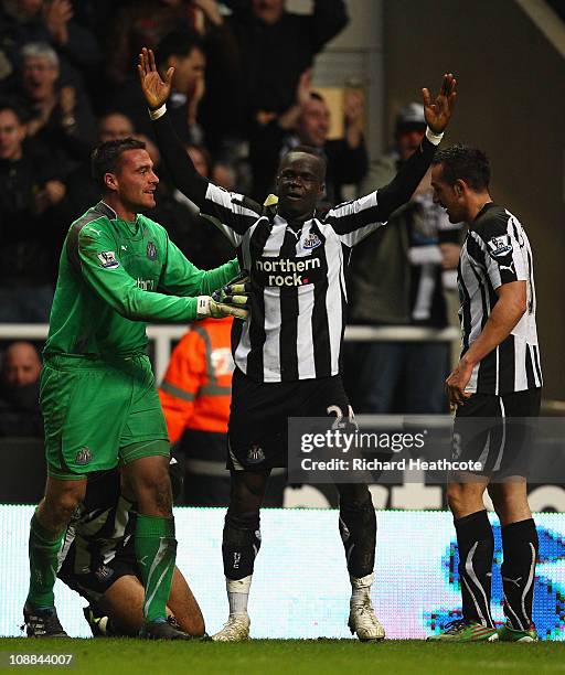 Cheik Tiote of Newcastle celebrates scoring the fourth and equalising goal during the Barclays Premier League match between Newcastle United and...