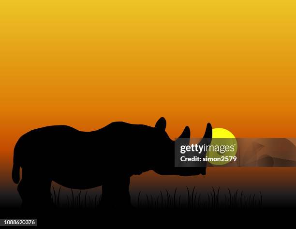 rhino at sunset background - elephants sunset stock illustrations