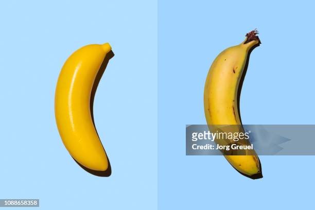 plastic banana beside real banana - fake fotografías e imágenes de stock