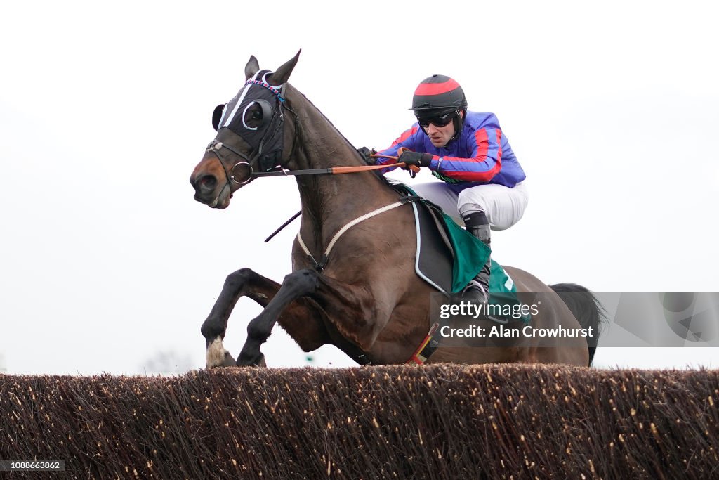 Cheltenham Races