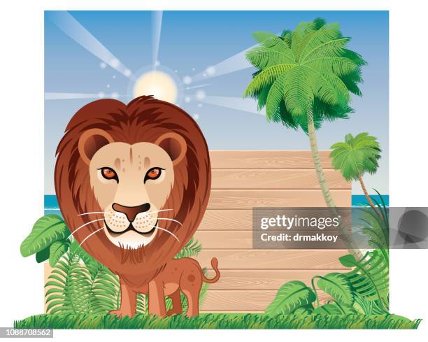 lion and sing - zoo background stock illustrations